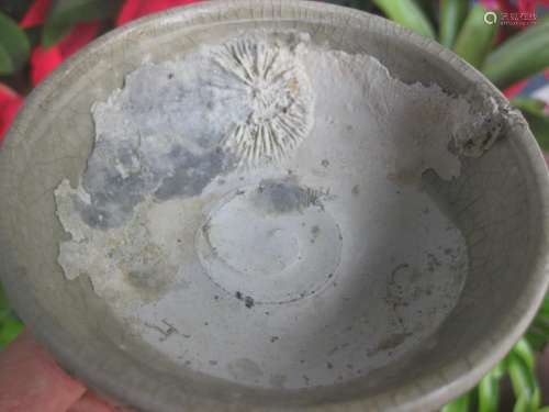 Chinese Qing porcelain bowl, sand dollar shipwreck 1752