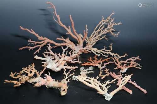 桃色珊瑚枝一括