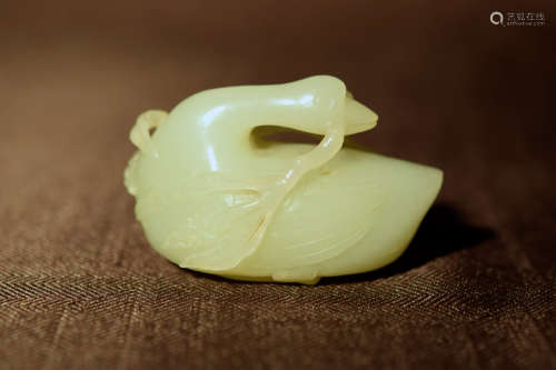 Chinese Jade Duck