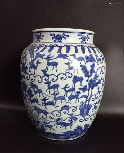 Chinese Blue/White Porcelain Jar, Marked