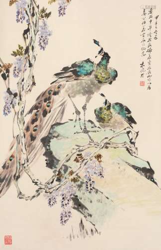袁晓岑 甲子（1984)年作 孔雀 立轴 设色纸本