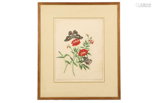 清   外销蝴蝶花卉绘画                                                                                                                                            A CHINESE EXPORT PAINTING OF BUTTERFLIES AND FLOWERS.