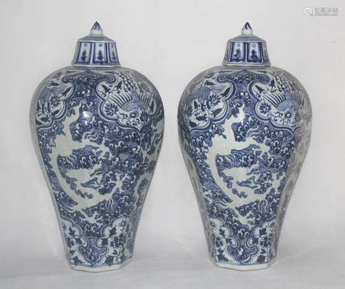 Pair of Chinese Blue/White Porcelain Vase