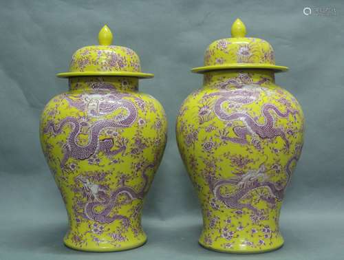 Pair of Chinese Yellow Glaze Famille Rose Vase