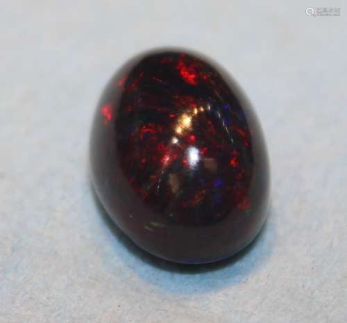 BLACK OPAL