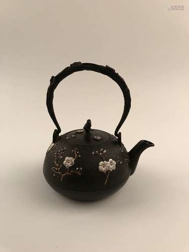 Chinese Cast Iron Teapot