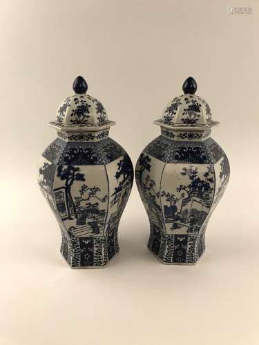 Pair of Blue and White Vase