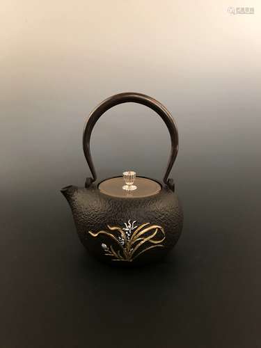 Chinese Iron Teapot