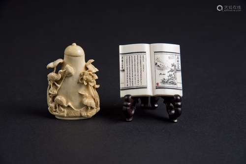 Ivory Carved Snuff Bottle and Book