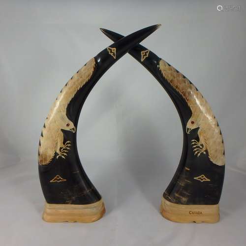 Pair Canadian Buffalo Horn