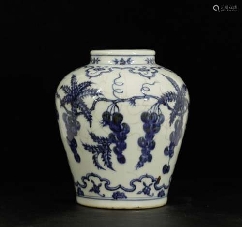 Chinese Blue/White Porcelain Jar