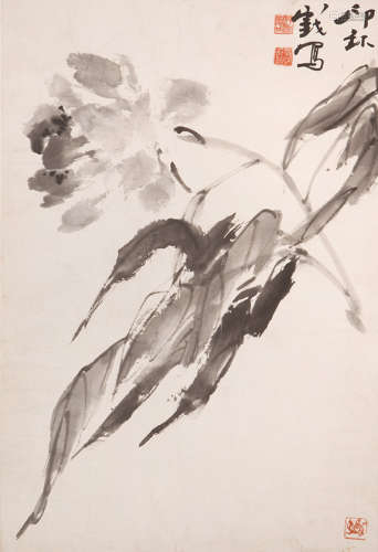 萧朗（1917-2010） 芍药 设色纸本 镜心