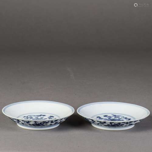 A PAIR OF BLUE AND WHITE PORCELAIN DISH, 18TH CENTRY