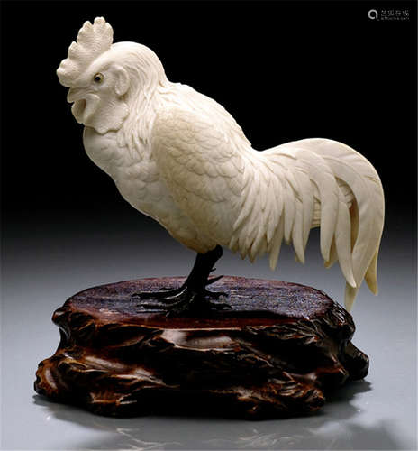 AN IVORY OKIMONO OF A COCKEREL, Japan, Meiji period, naturalistically carved model of a standing cockerel with metal legs - Property from a French private collection, acquired at Christie's Paris, 7th Dec 2007, lot 52 - Minor wear, partly only few fine hairline cracks, wood stand