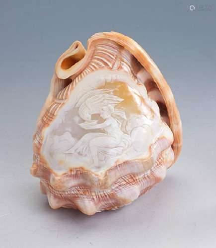 Large shell with engraved cameo