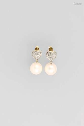 Pair of 14 kt gold earrings with south seas pearls and