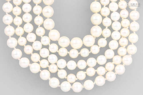 Lot 7 strands made of cultured akoya pearls