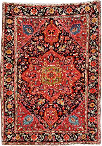 Jozan 'Rug',