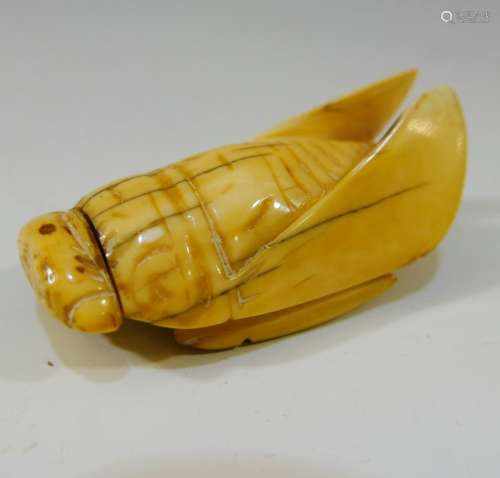 CHINESE ANTIQUE CARVED CICADA SNUFF BOTTLE - 19TH CENTURY