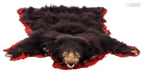 A bear skin rug, L 169 - W 158 cm