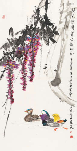 侯及名卢光照 辛酉（1981）年作 紫藤鸳鸯 镜片 设色纸本