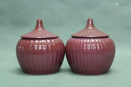 Pair of Chinese Porcelain Jar