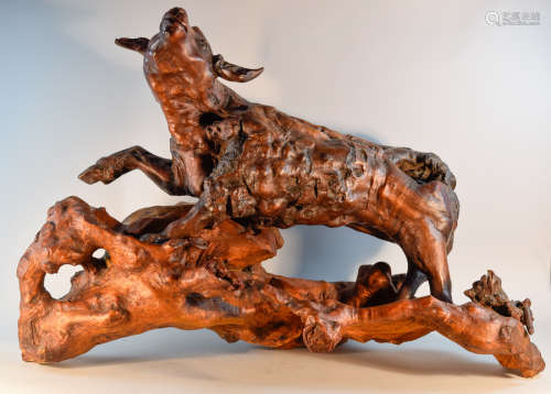 Chinese Root Wood Ram on Stand - Massive Size