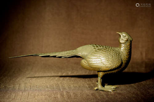 Japanese Bronze Pheasant Bird