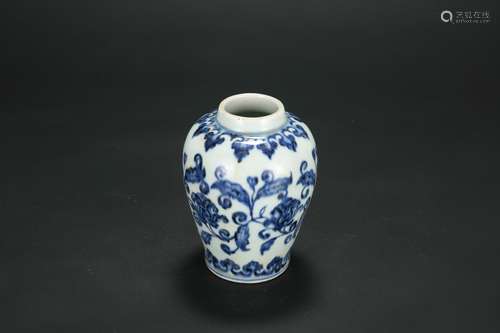 A Chinese Blue and White Porcelain Jar