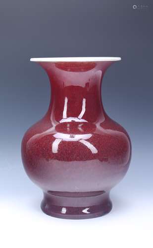 A Chinese Iron Red Glazed Porcelain Vase