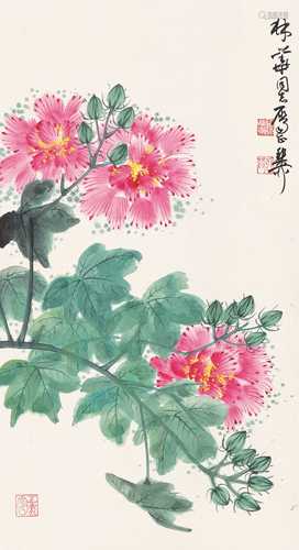 谢稚柳 芙蓉花 立轴 设色纸本