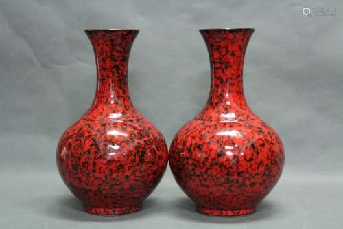Pair of Porcelain Vase