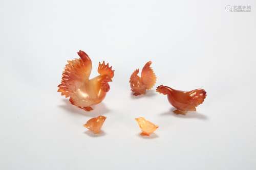 Groups of Chinese agate chicks.