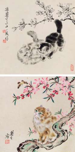 孙菊生 1974年作 猫趣两帧 镜心 设色纸本