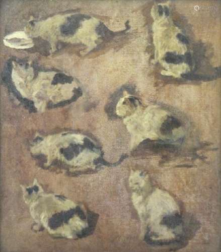 Illegibly Signed 19th C. Oil on Board. Cat Study.