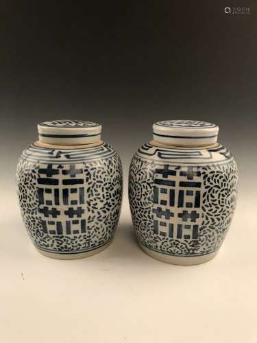 Pair of Chinese Blue and White Jar