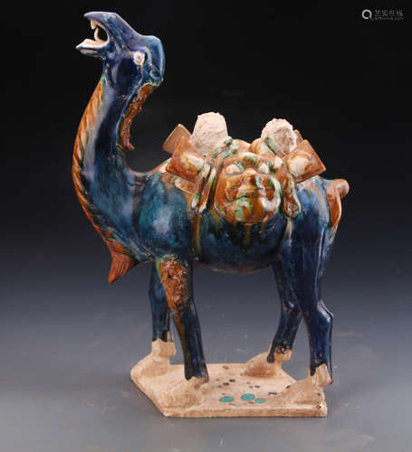 A Tang Styled Tri-Color Camel W:35cm H:47cm