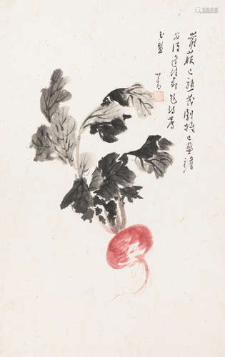 溥儒 (1896～1963) 萝菔 镜片 设色纸本