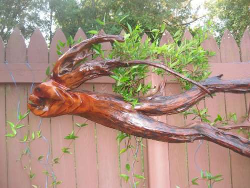 Carved drifted wood Fantasy Tropical Big Fish, Wood Hawk