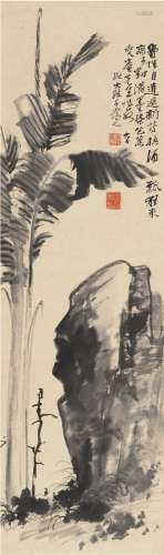 张大千（1899～1983） 幽石芭蕉图