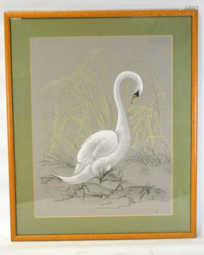Oil Painting of a Swan