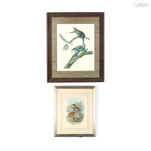 Two Ornithological Prints - Audubon and Elliott