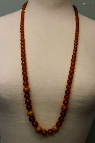 Long Amber necklace.
