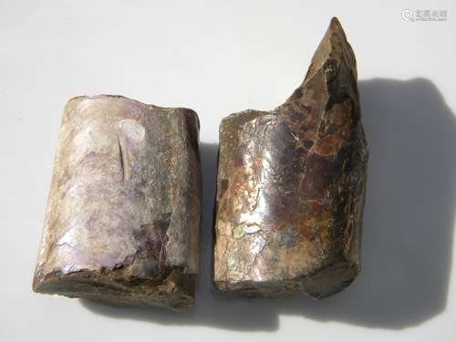 Pair of Antique Dinosaur  Bones