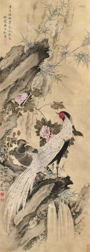 马元驭（1669～1722） 锦鸡图 立轴 设色绢本