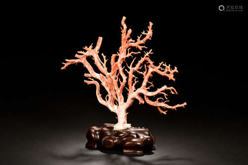 CORAL BRANCH FIGURE