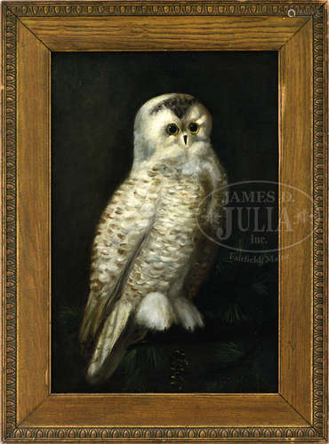 AMERICAN SCHOOL (19th century) SNOWY OWL.