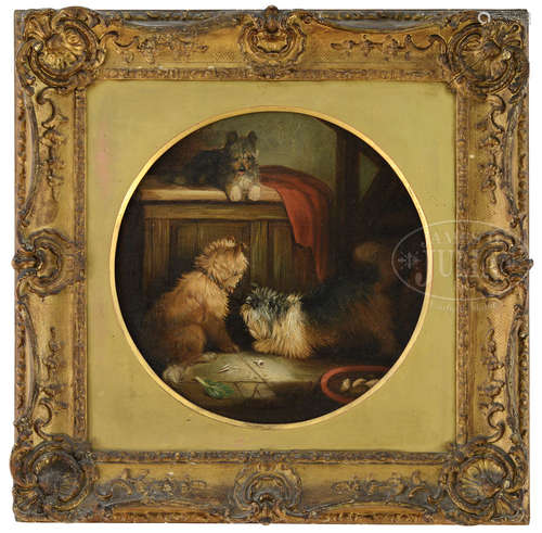 ATTRIBUTED TO GEORGE (SMITH) ARMFIELD (English, 1808-1893) THREE TERRIERS IN INTERIOR.