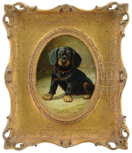 EDWIN MEGARGEE (American, 1883-1958) PORTRAIT OF A GORDON SETTER PUPPY.