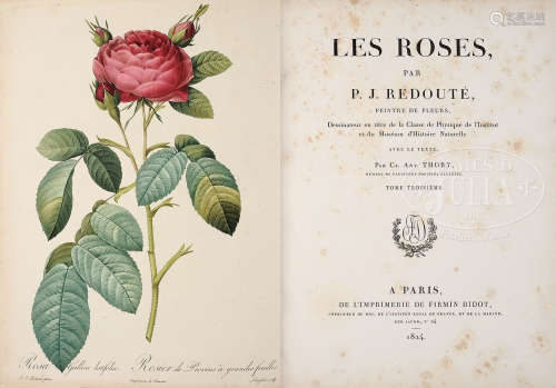 BOOK: LES ROSES, BY PIERRE-JOSEPH ROUDOUTE (1759-1840) AND CLAUDE ANTOINE THORY (1759-1827), PUBLISHED IN PARIS BY FIRMIN DIDOT (1817-1824).